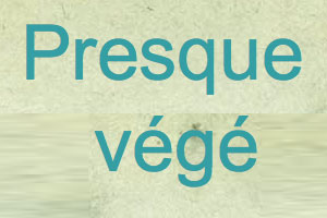 Logo-PresqueVege