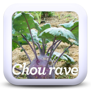Icon-ChouRave