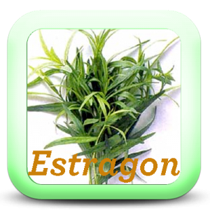 Icon-Estragon