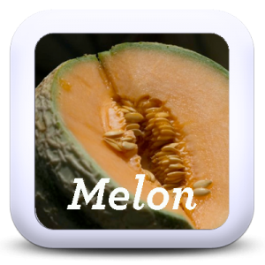 Icon-Melon