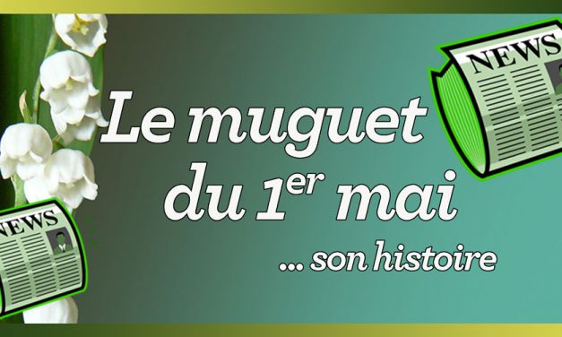 Le muguet porte-bonheur du 1er mai, son histoire…