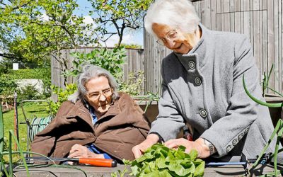 La thérapie par le jardinage