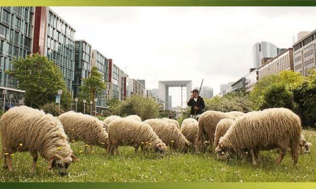 5 potagers insolites à découvrir à Paris et en île-de-france