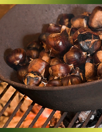 JCmP-Recette-Marrons ou châtaignes au feu de bois | Je cuisine mon potager