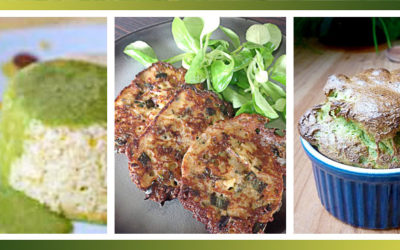 Recettes pour cuisiner le vert des poireaux