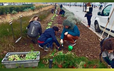 Jardiner, faire ses courses, cuisiner ensemble… l’alimentation locale crée-t-elle du lien social ?