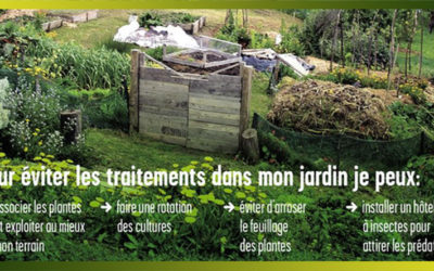 Un jardin potager naturel et malin, bon pour la santé