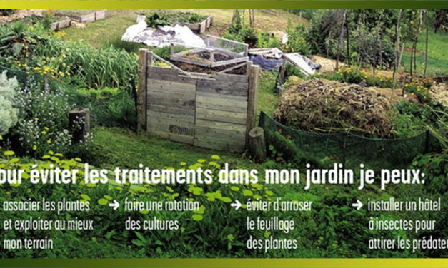 Un jardin potager naturel et malin, bon pour la santé