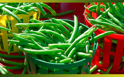 Recettes à base de haricots verts pour faire le plein de fibres tout l’été