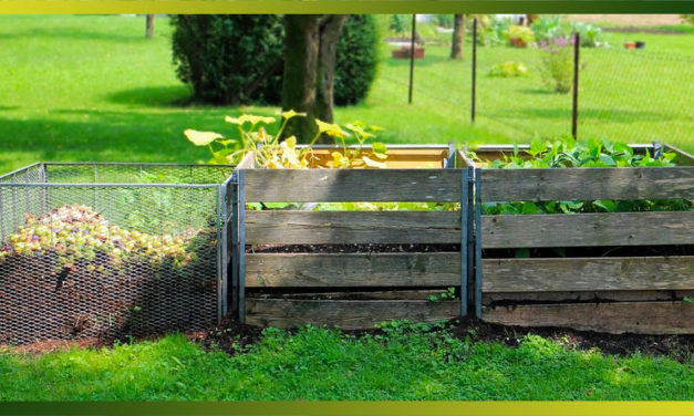 Comment faire son compost : astuces, emplacement