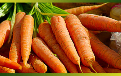 Les carottes, un des légumes les plus consommés