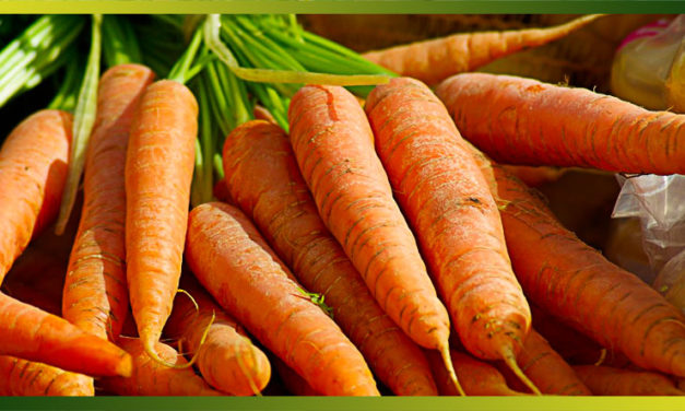 Les carottes, un des légumes les plus consommés